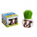 Grass Hair Kit Puppy Assorted