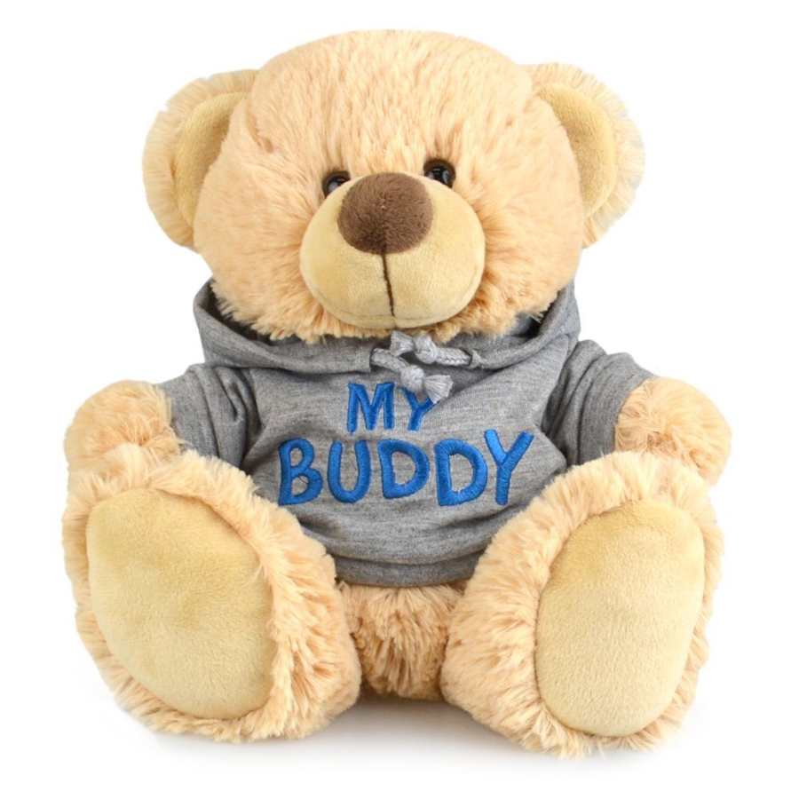 My Buddy Bear Hoodie 23cm