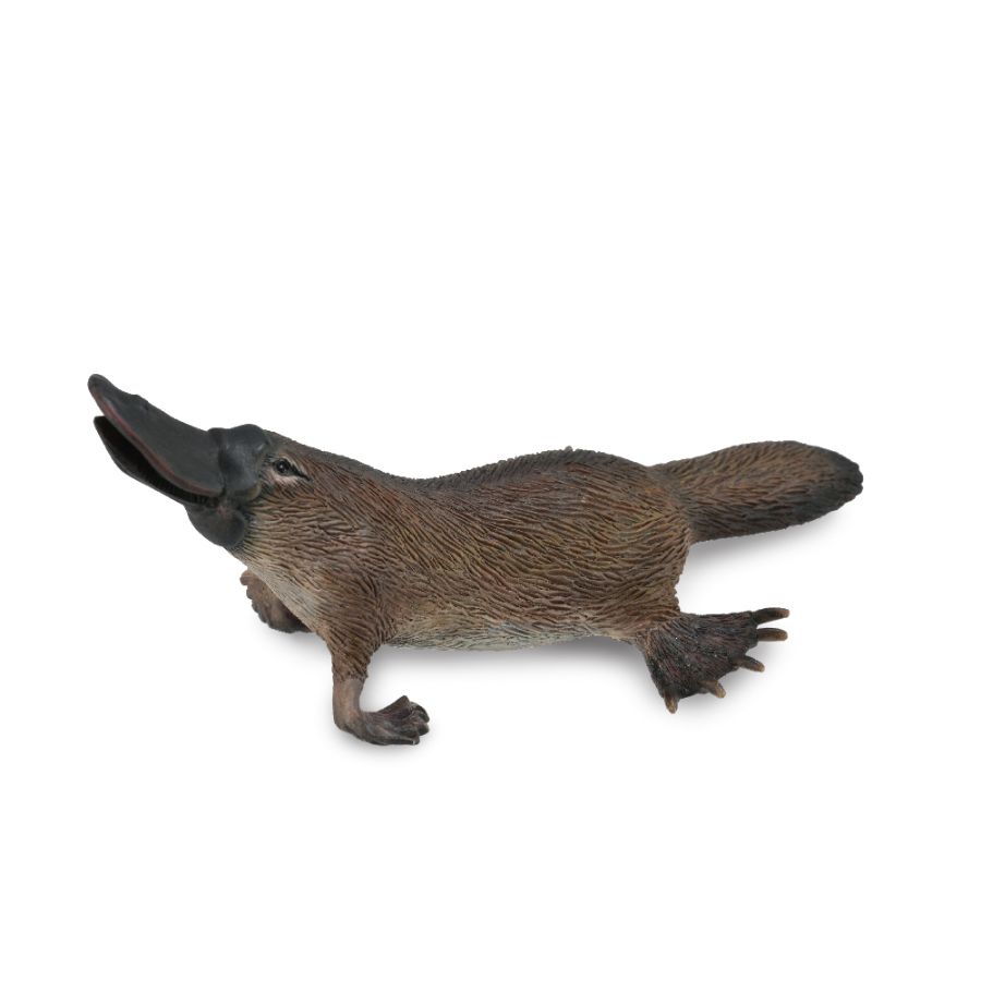 Collecta Medium Platypus