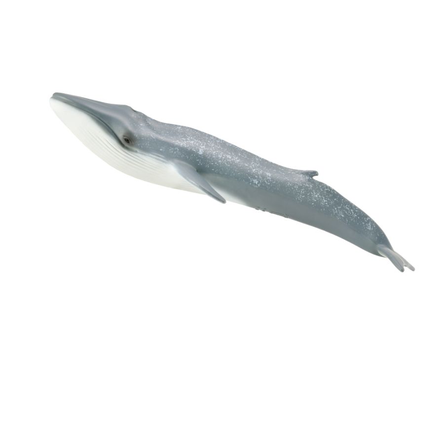 Collecta Extra Large Blue Whale