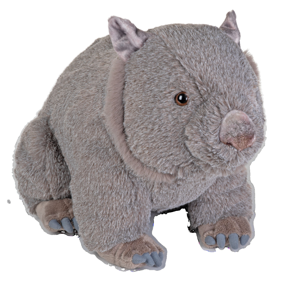 Artist Wombat 38cm