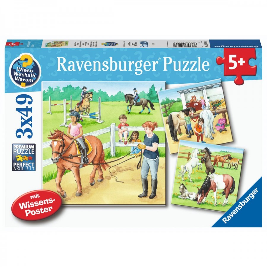Ravensburger Puzzle 3x49 Piece A Day At The Stables