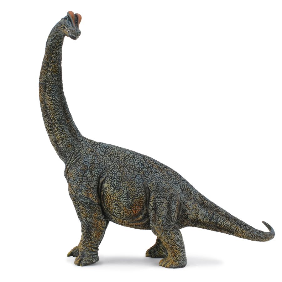 Collecta Deluxe Brachiosaurus