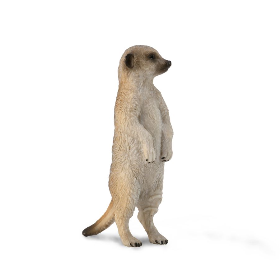 Collecta Small Meerkat