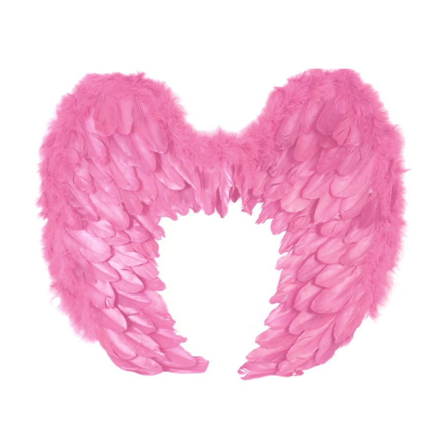 Feather Wings Soft Pink