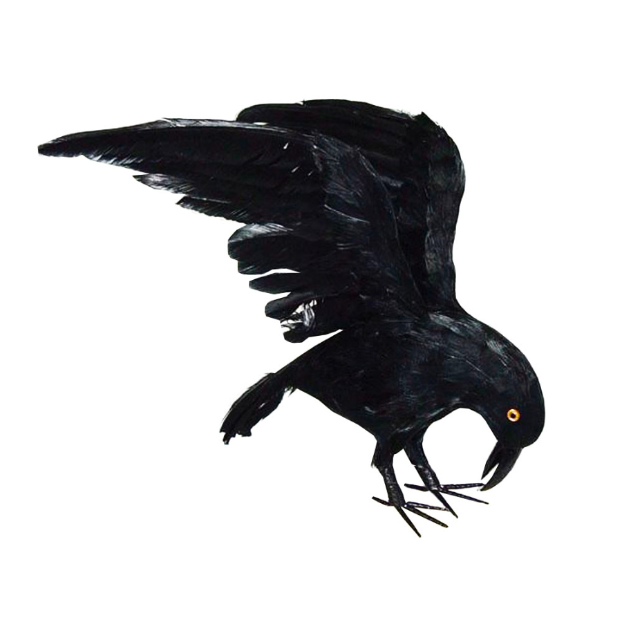 Flying Crow