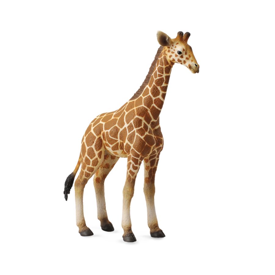 Collecta Large Reticulated Giraffe Calf