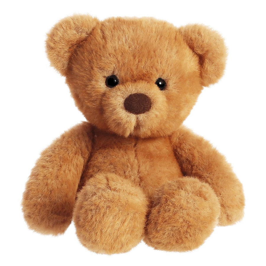 Bear Charlie 23cm