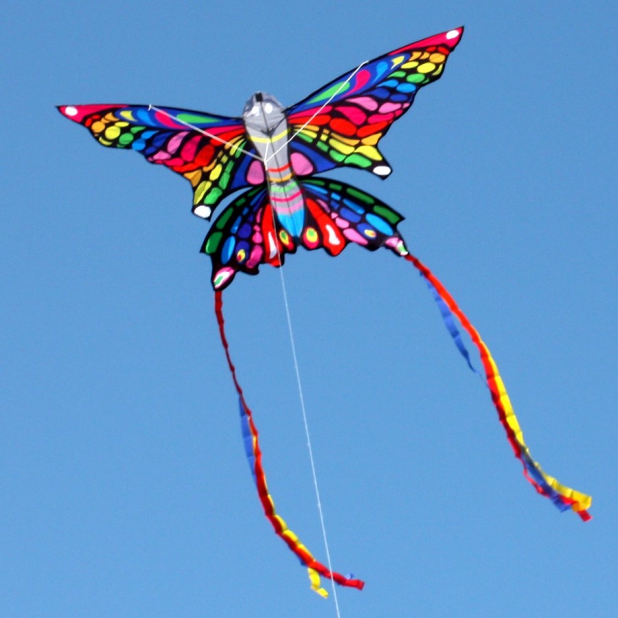 Ocean Breeze Butterfly Kite