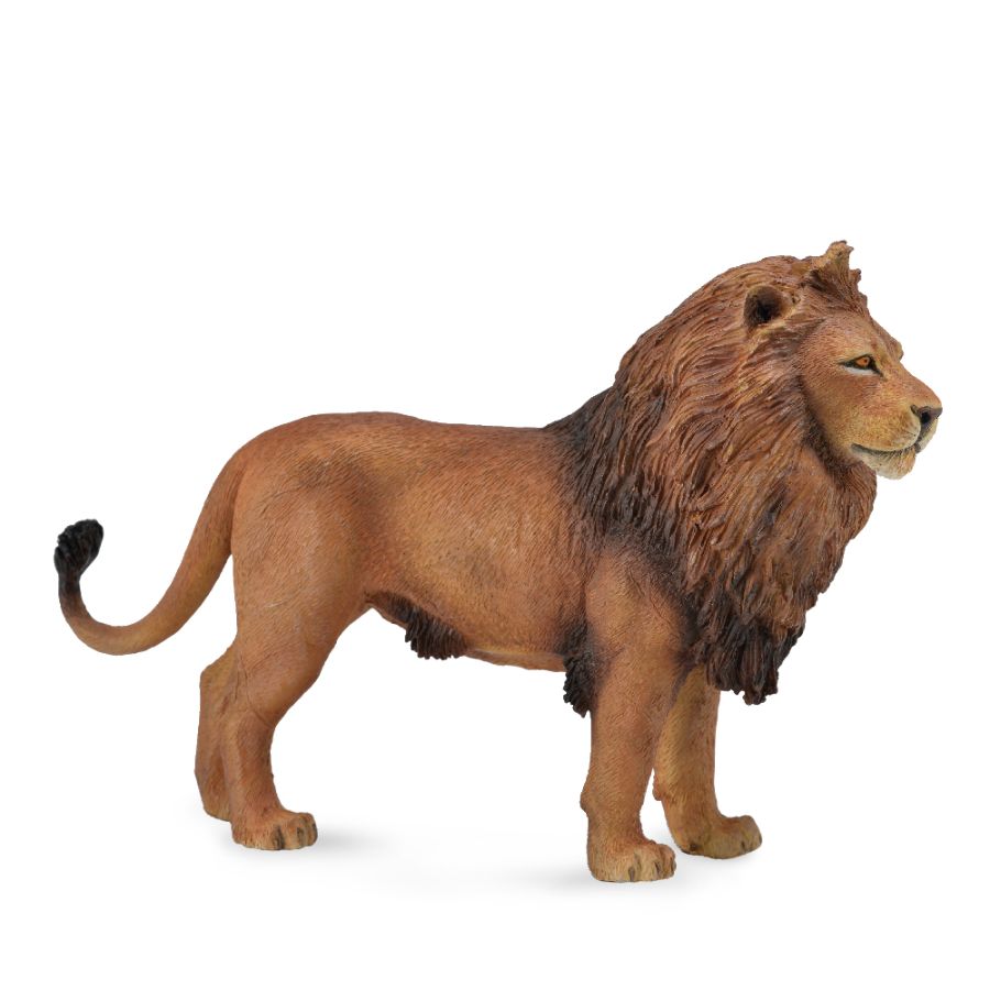 Collecta Large African Lion