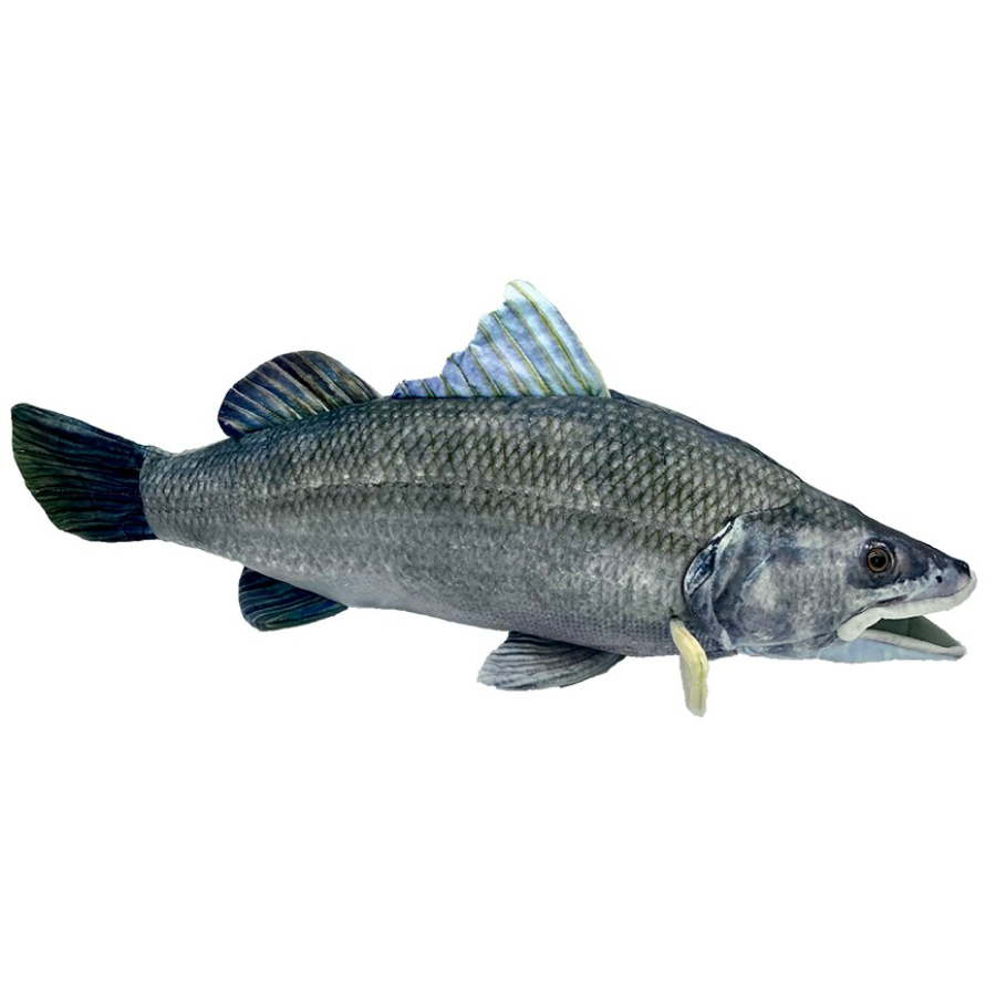 Barry The Barramundi Plush 62cm