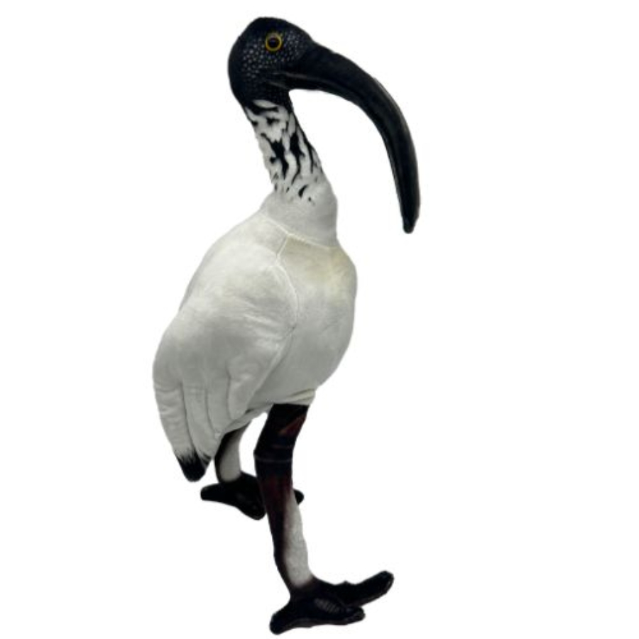 Opal The Ibis 35cm