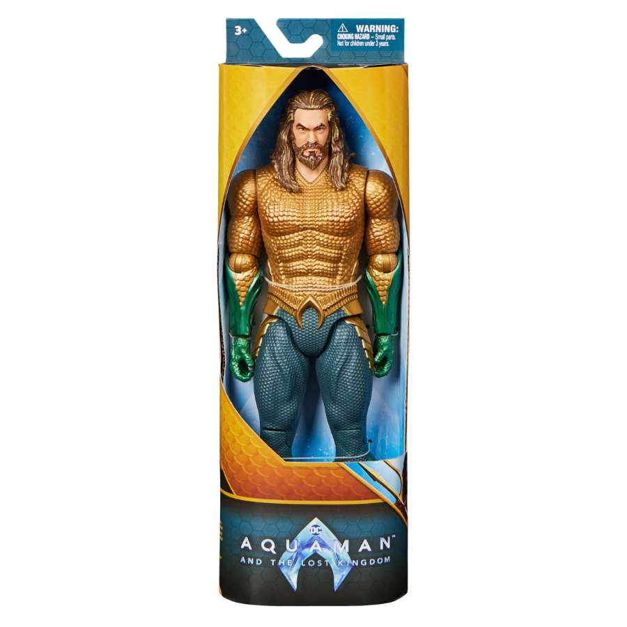 Aquaman 12 Inch Figure