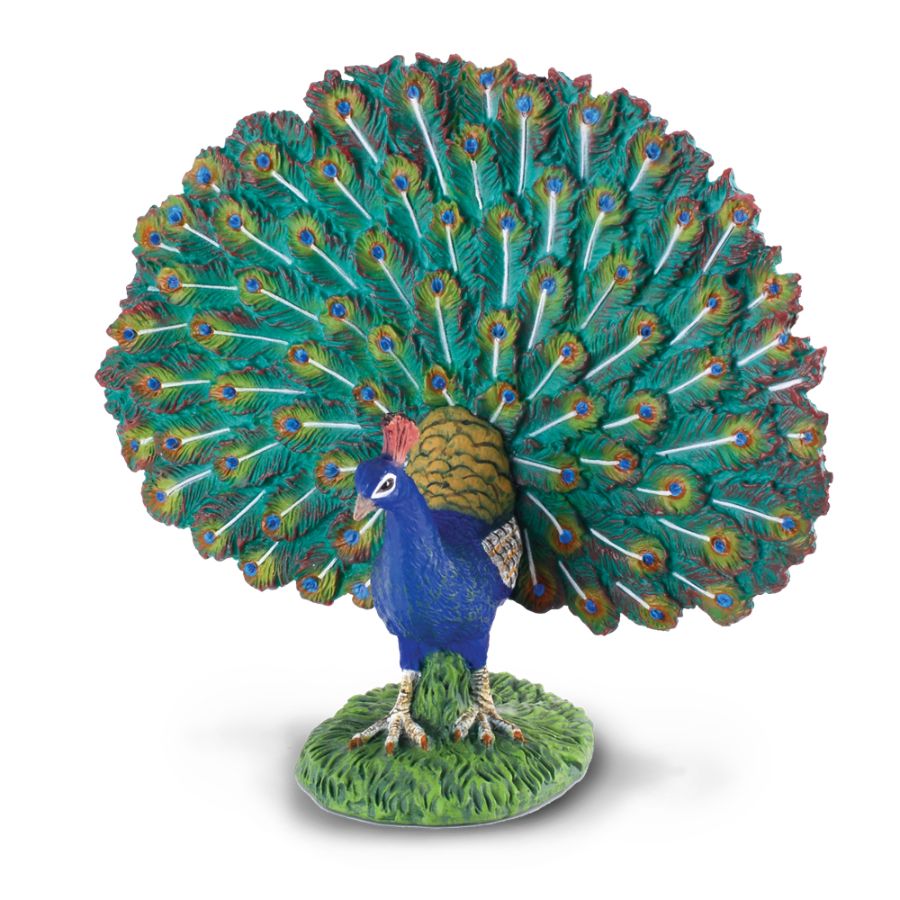 Collecta Large Peacock