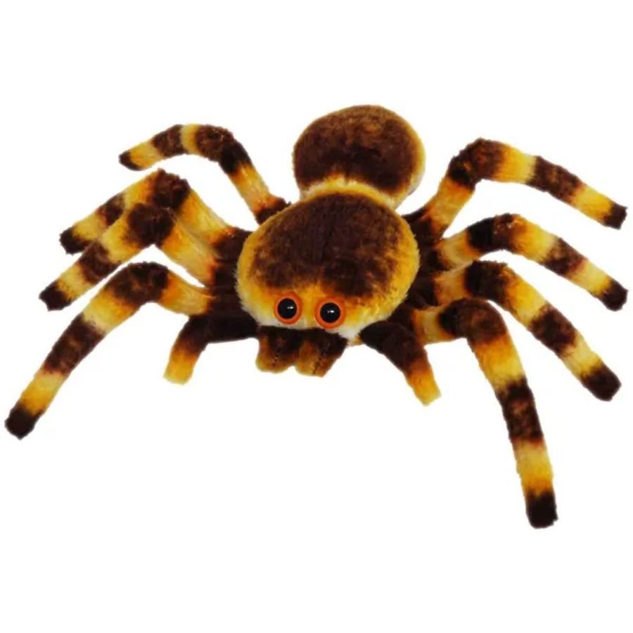 Spider Brown 21cm