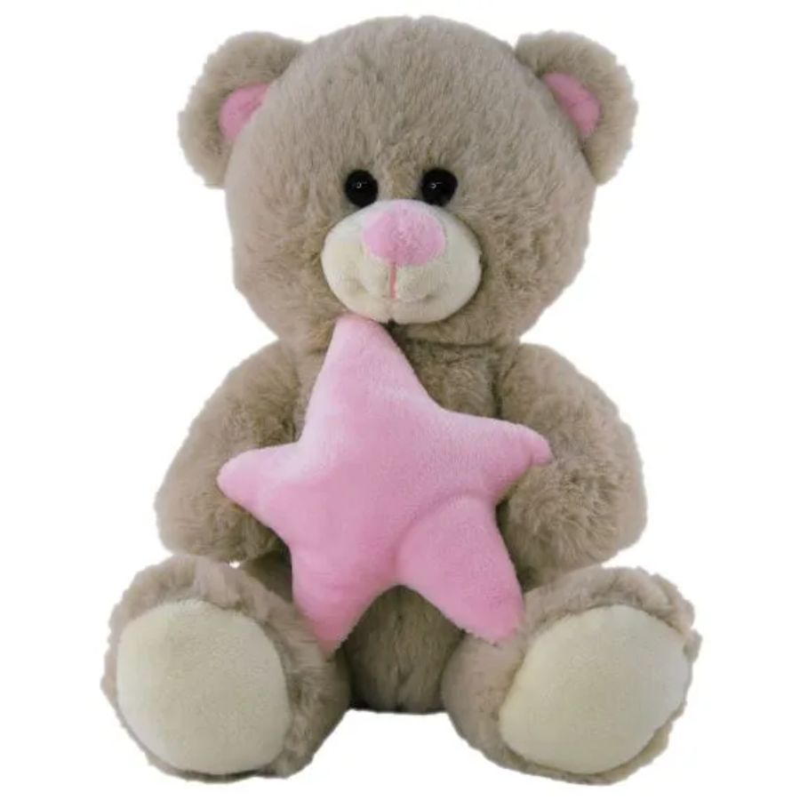 Bear With Pink Star 24cm