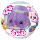 Pets Alive Hamstermania Assorted