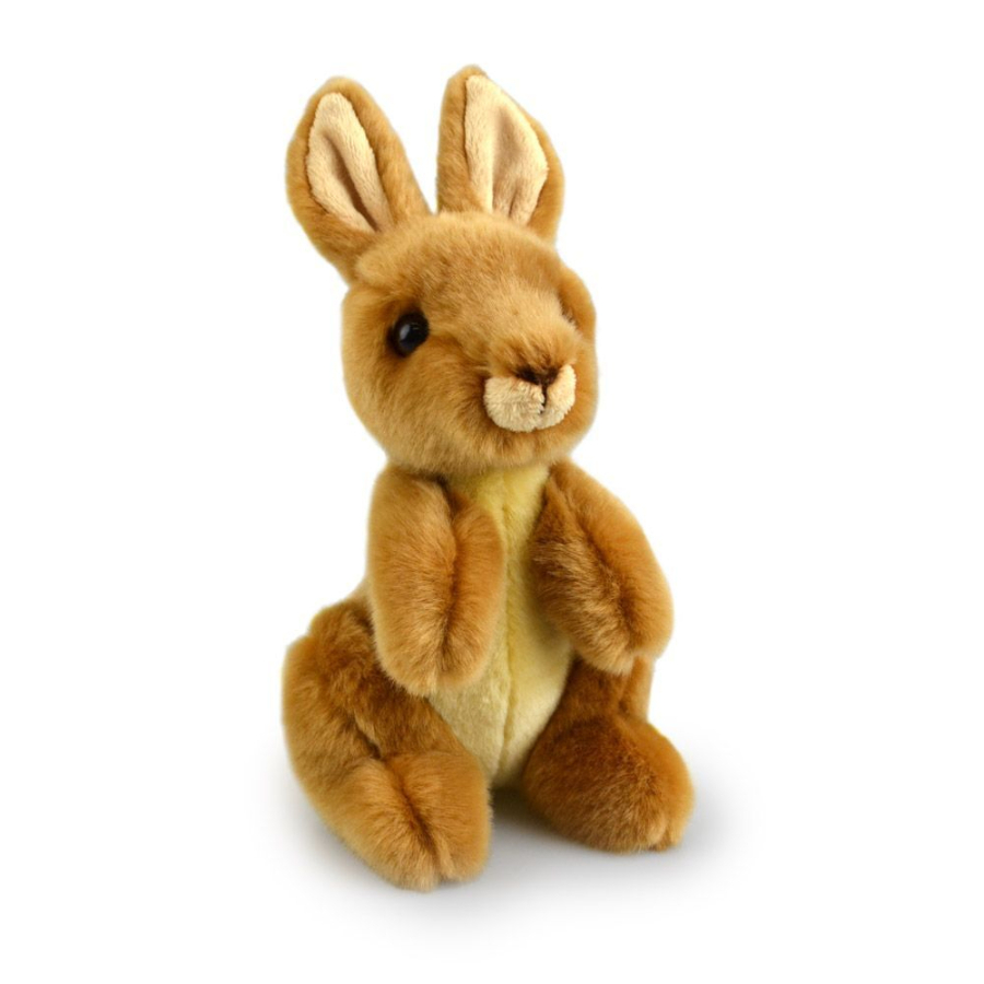 Lil Friends Kangaroo 18cm