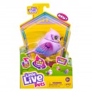 Little Live Pets Bird Series 11 Single Pack Assorted