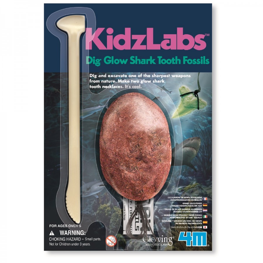 Kidz Lab Pocket Shark Tooth Fossil