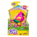 Little Live Pets Bird Series 12 Single Pack Assorted