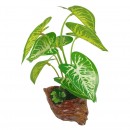 Leafy Plant 22cm Assorted