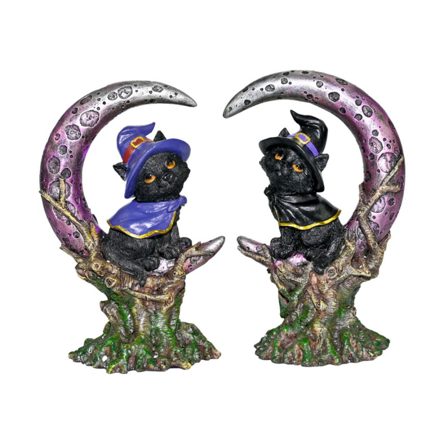 Cat Witch On Mystical Moon 18cm Assorted