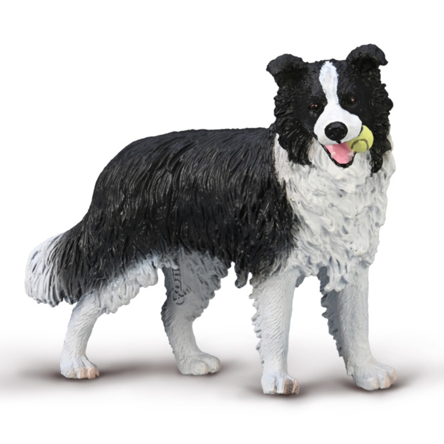 Collecta Large Border Collie