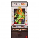 WWE Elite Figure Street Fighter Collection Assorted