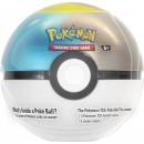 Pokemon TCG Poke Ball Tin Series 9 Assorted