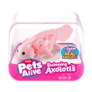 Pets Alive Swimming Axolotl Assorted