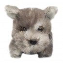 Russ Petooties Mini Plush Dog Assorted