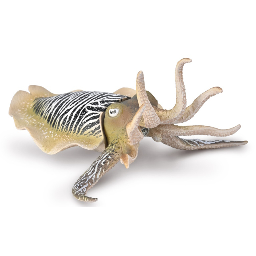 Collecta Extra Large Common Cuttlefish