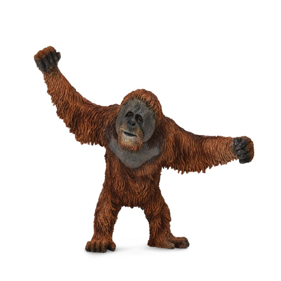 Collecta Large Orangutan