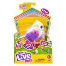 Little Live Pets Bird Series 11 Single Pack Assorted