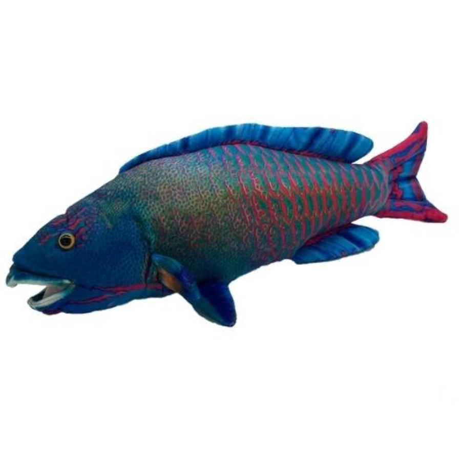 Polly The Parrot Fish 38cm