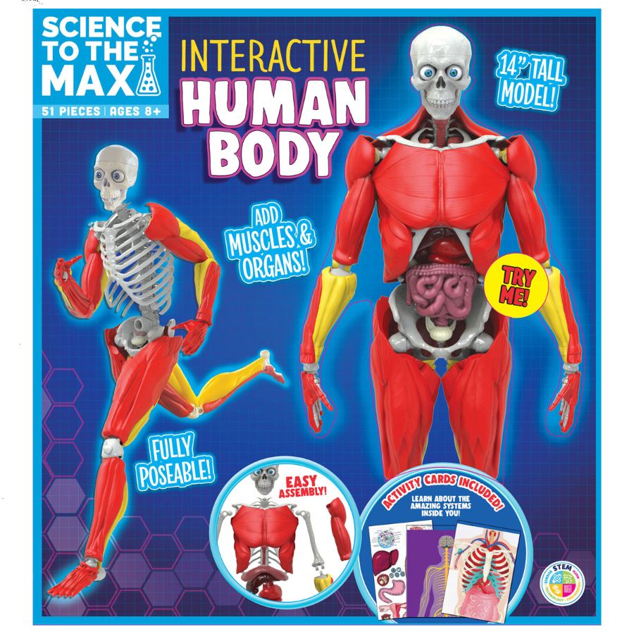 Science To The Max Interactive Human Body
