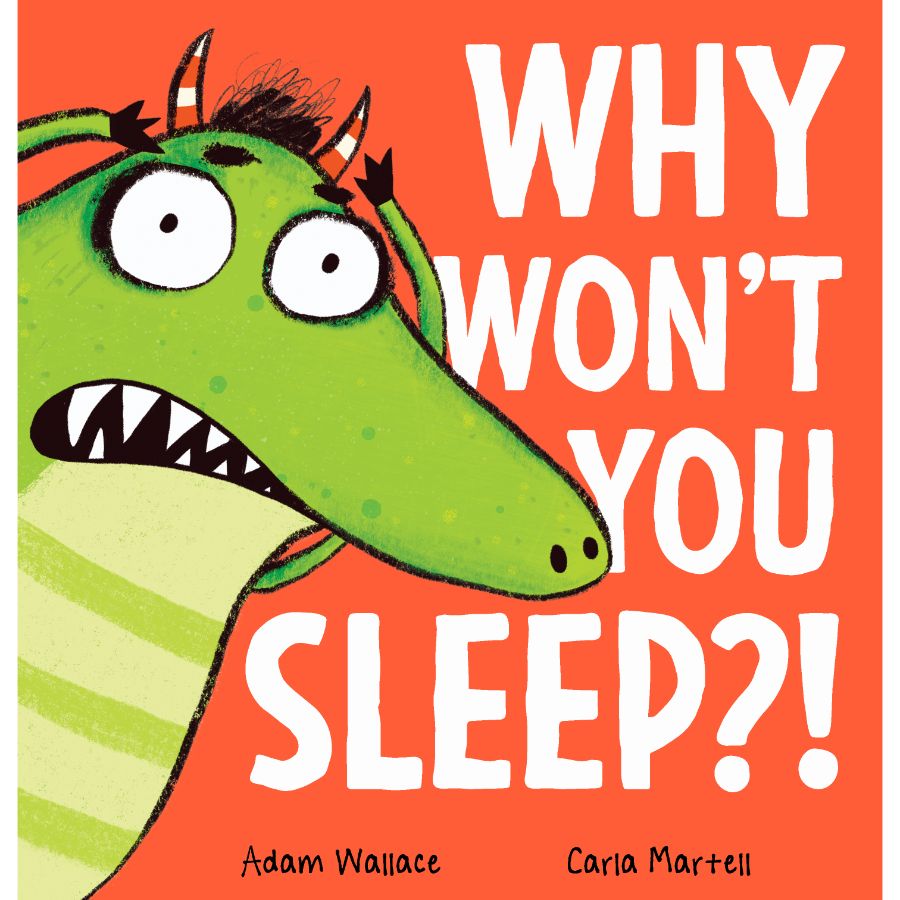 Childrens Book Why Wont You Sleep