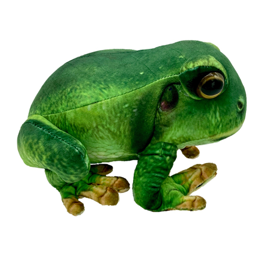 Francis The Tree Frog Plush 24cm