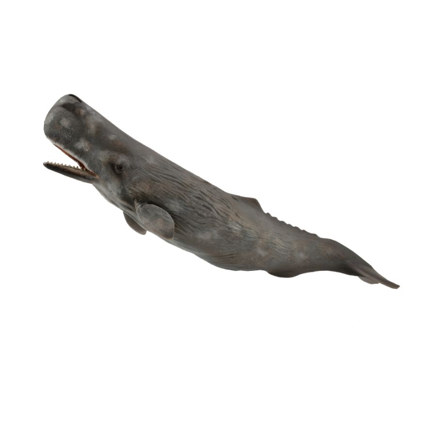 Collecta Extra Large Sperm Whale