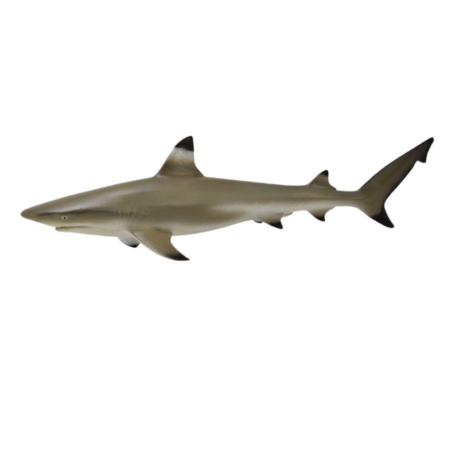 Collecta Medium Blacktip Reef Shark