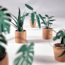 Pikkii Paper Plants Set Of 5 Craft Kit