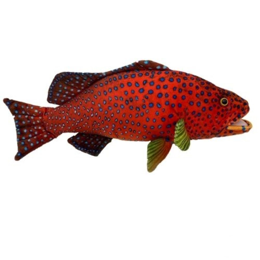 Corine The Coral Trout 32cm