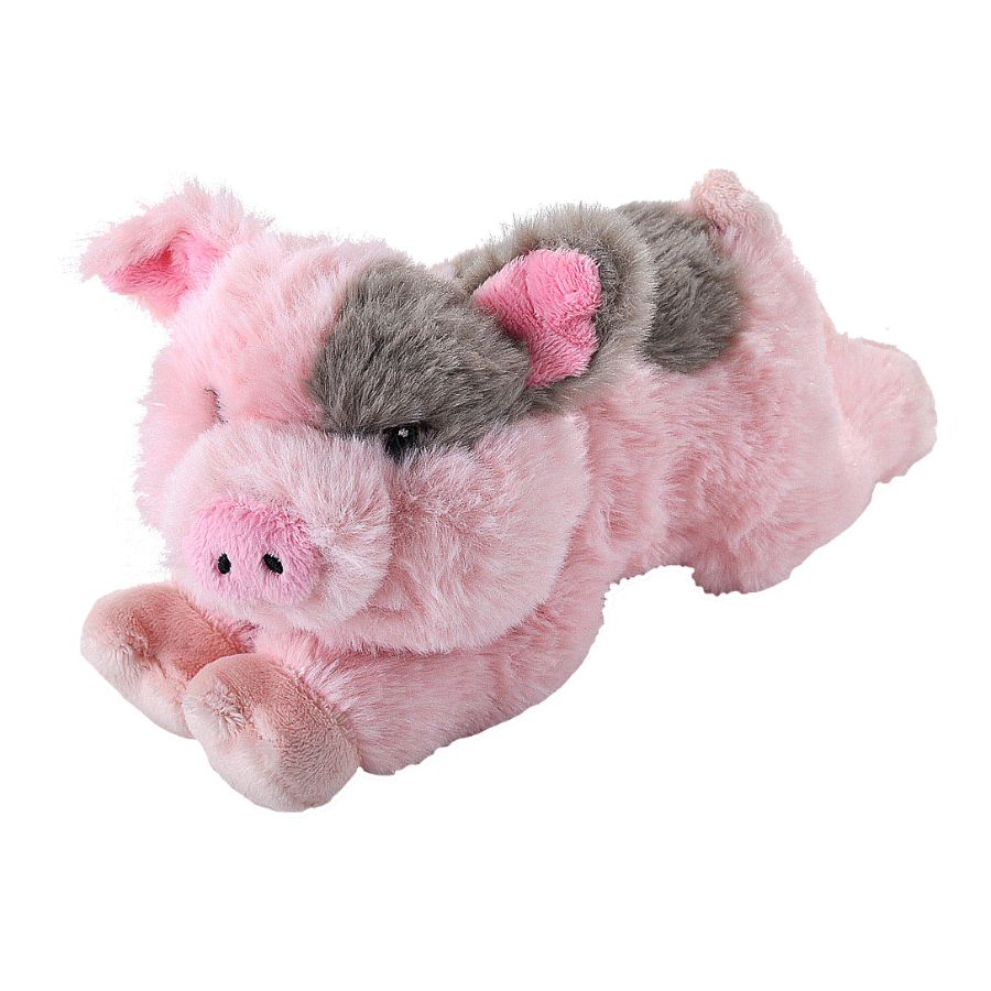 Ecokins Mini Pig