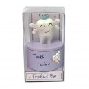 Tooth Fairy Gift Box Assorted