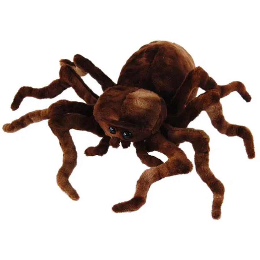 Spider Brown 21cm