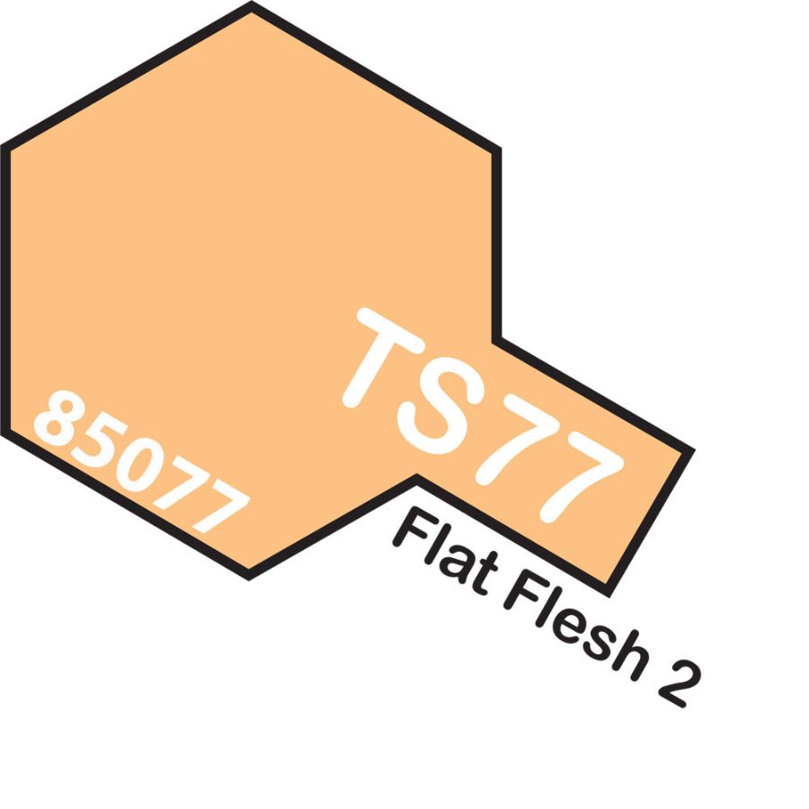 Tamiya Spray Paint TS77 Flat Flesh 2