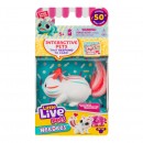 Little Live Pets Lil Needees Single Pack Series 2 Assorted