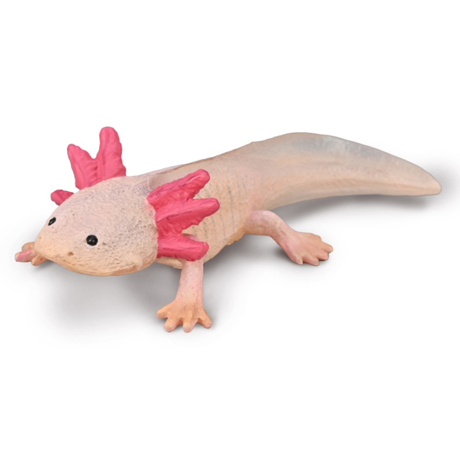 Collecta Medium Axolotl