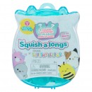 Squishmallows Squish-A-Longs Collectibles 2 Pack Surprise Assorted